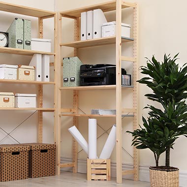 cleaning company in Nottingham, photo of neatly organized shelves and large house plant.